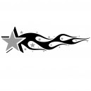 Stars 'n Flames IV
