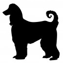 Afghanischer Windhund