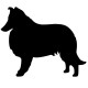 Collie
